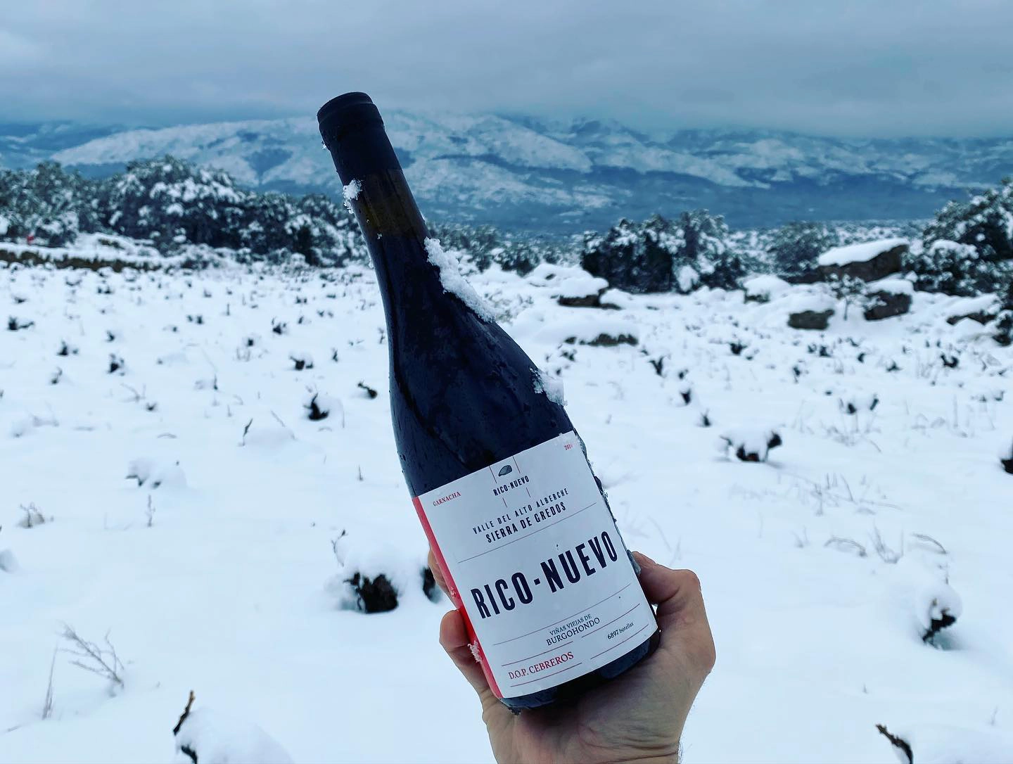 137212529_3936045919749597_3548655814404237524_n