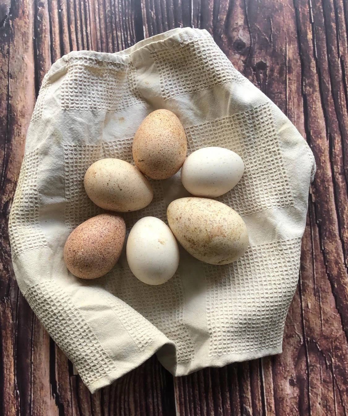 285746838_871627714229427_4875404351263276886_n