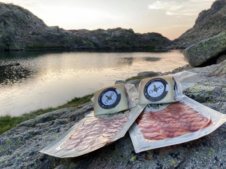 297505338_5296971717056544_2224904763628983217_n