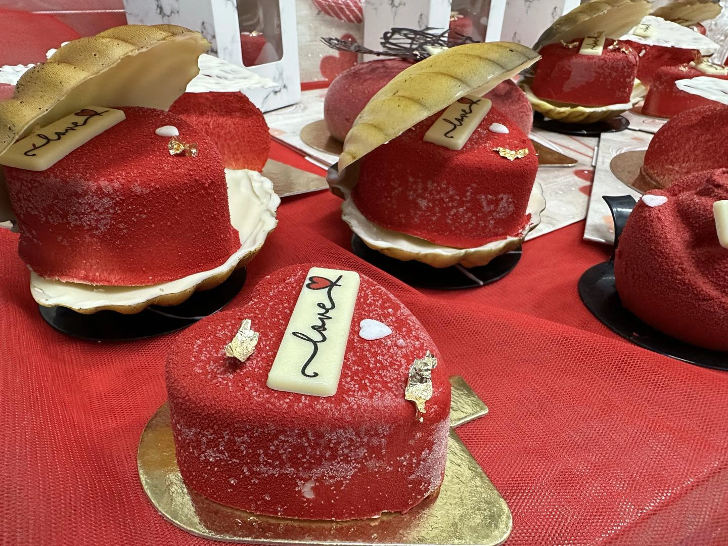 428378663_849888116942848_923963238944927160_n