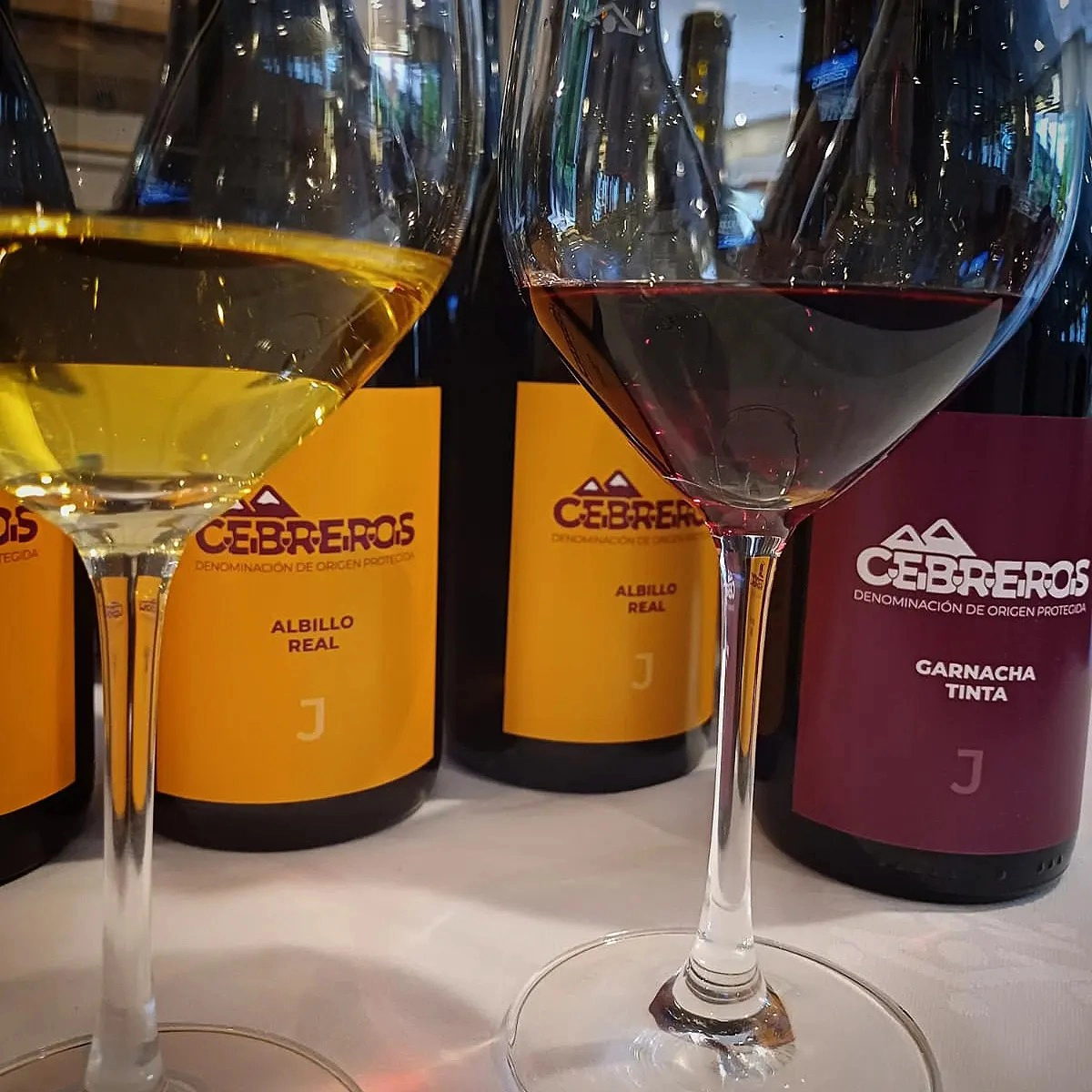 429913098_1016723416810631_7534618232895229301_n