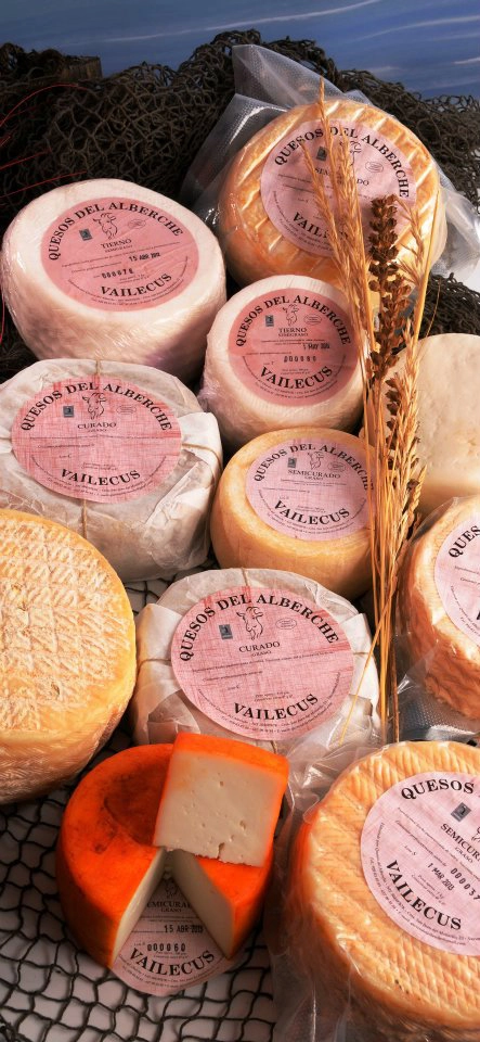 448966006_3032093590262618_618749062898812255_n