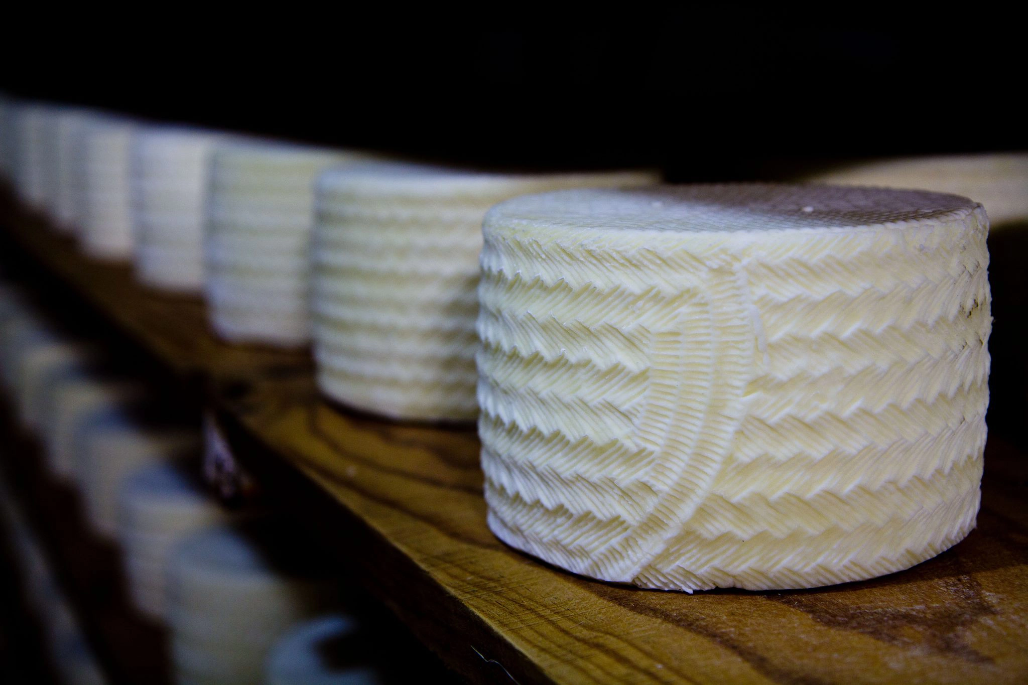 450332934_3771965566387034_8051176999805916397_n