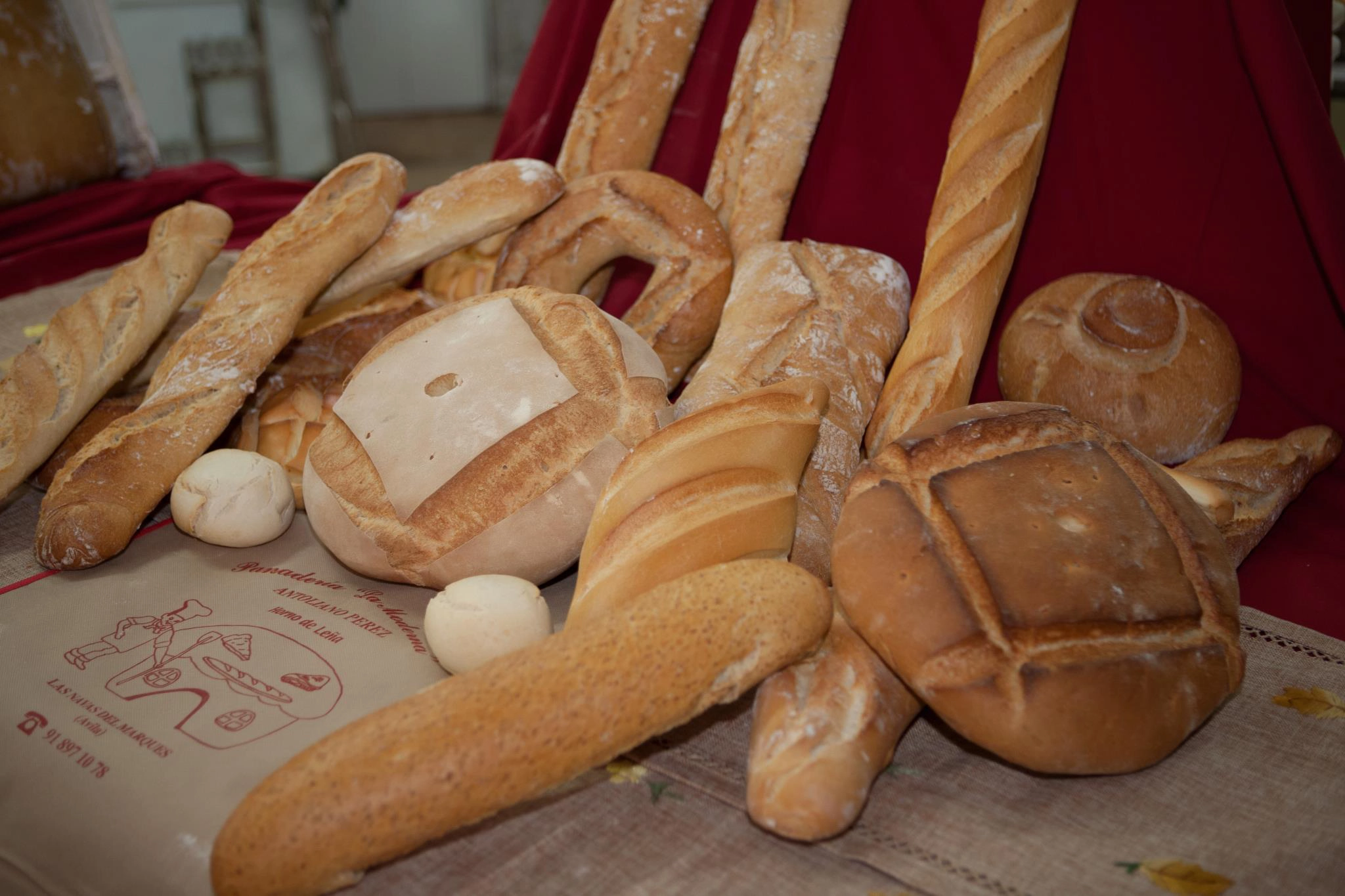 454620837_7886621311433704_9064239917850936374_n