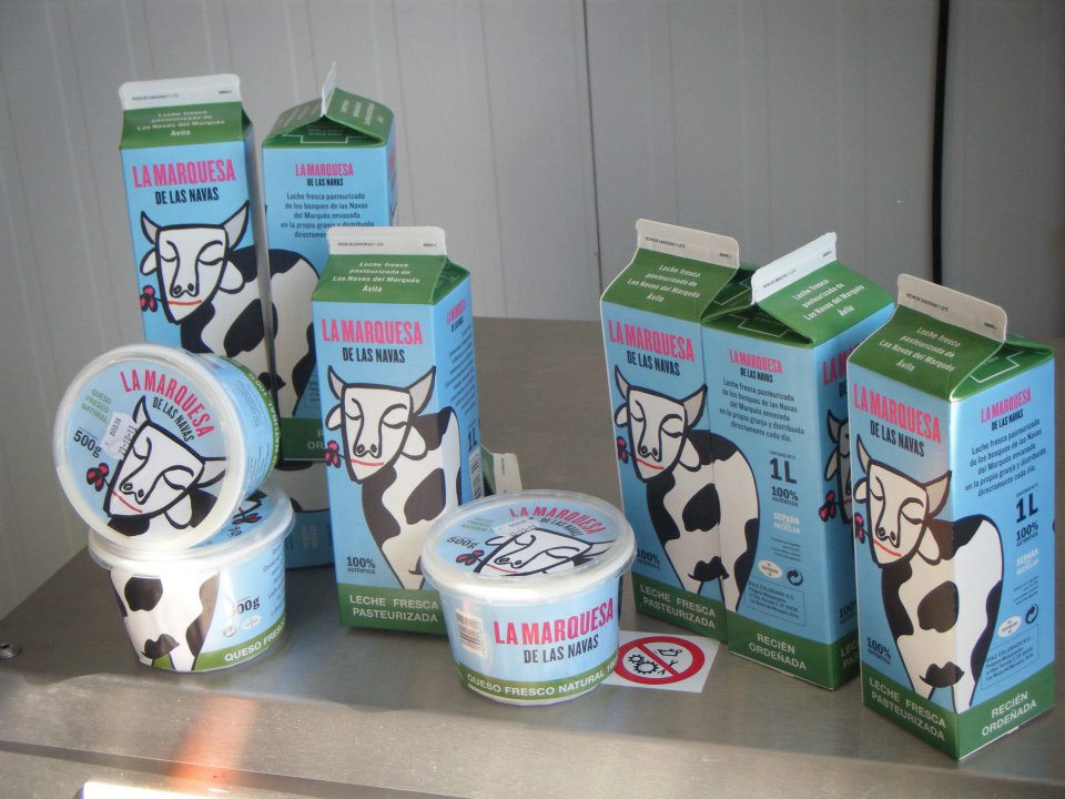 459077582_8036908819697435_1538423372123948645_n