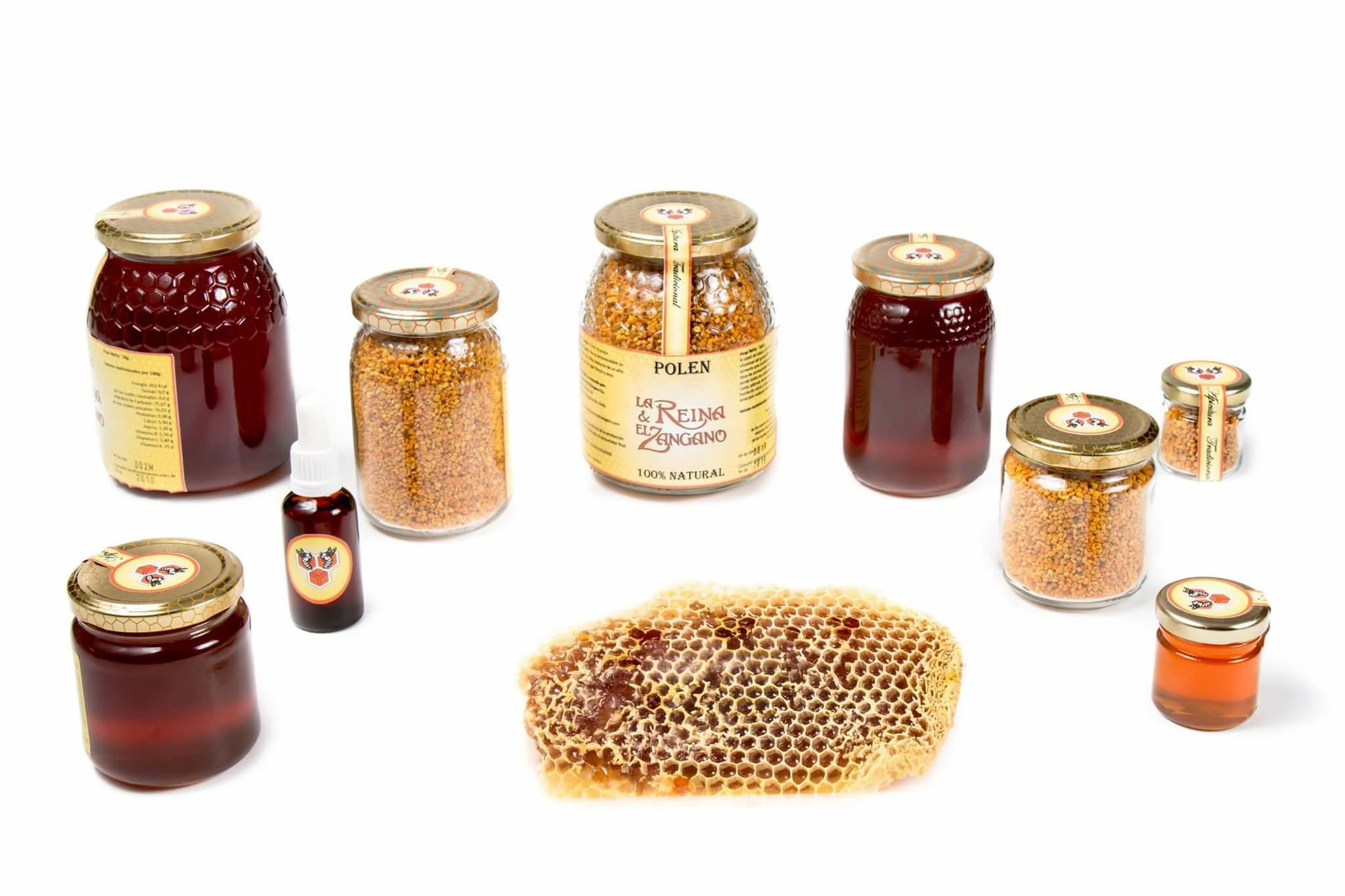 464212227_8062441970529025_8511027358408113301_n