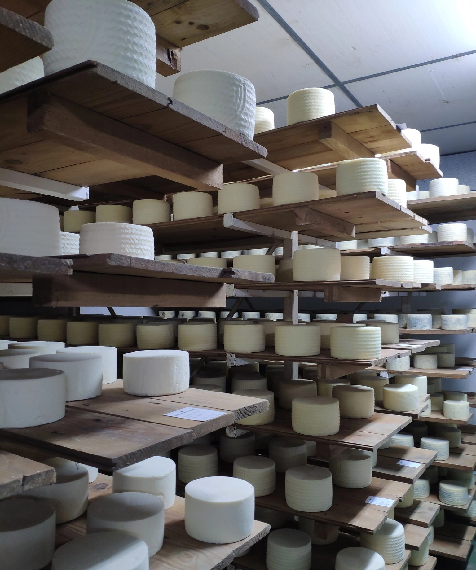 79508409_2499487526968184_6692596109971292160_n