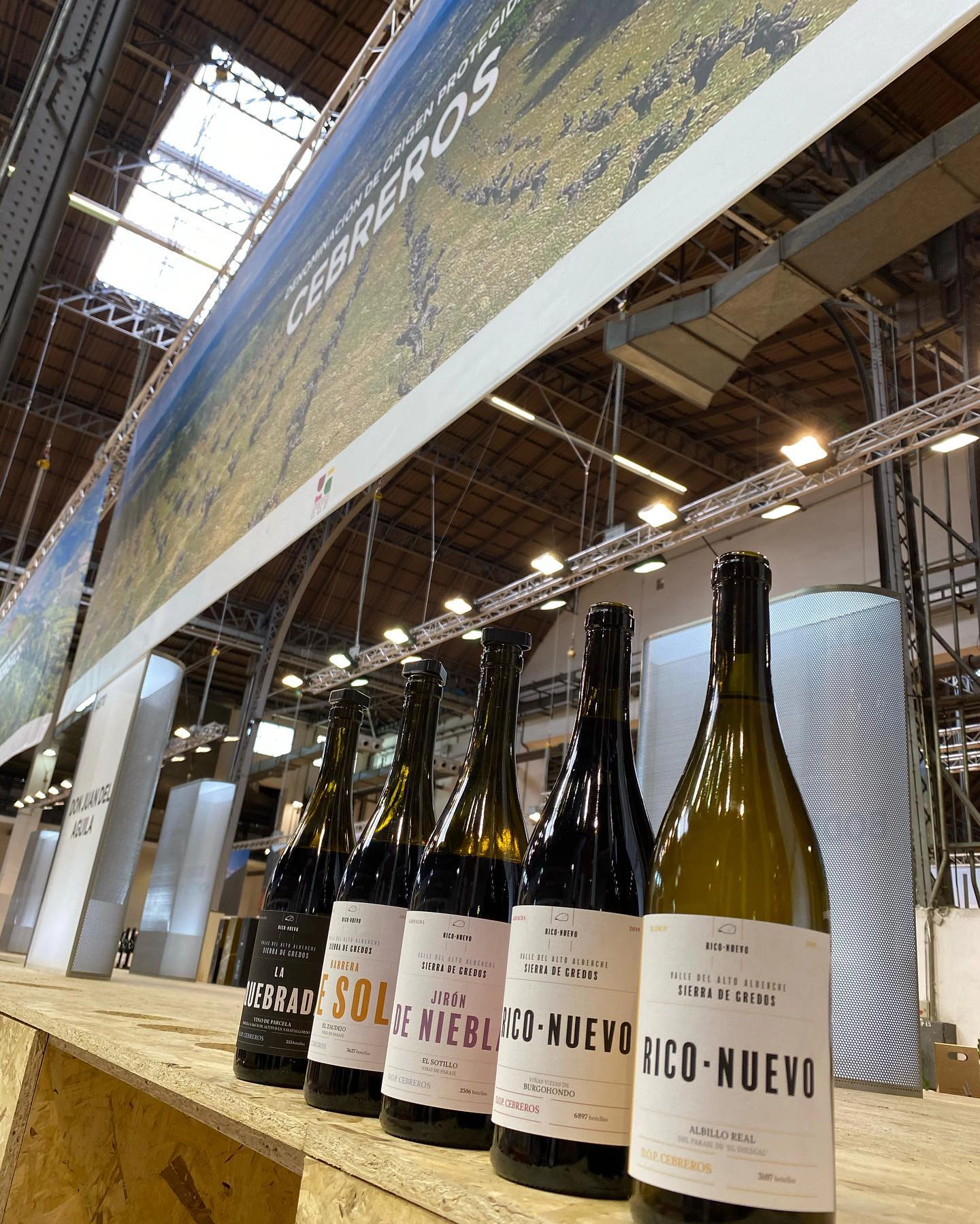 83738758_2980270201993845_2695448250072170496_n