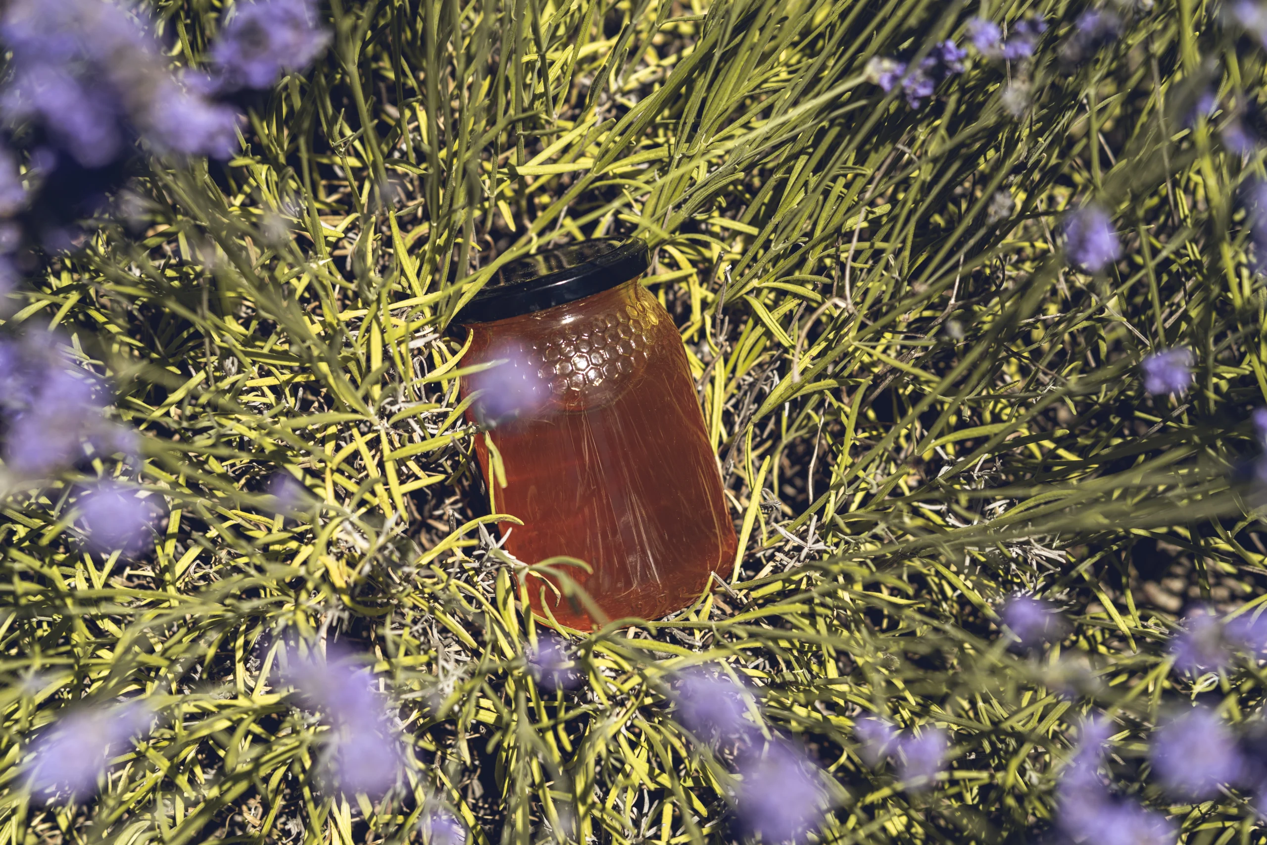 miel de lavanda de Lavanda Real