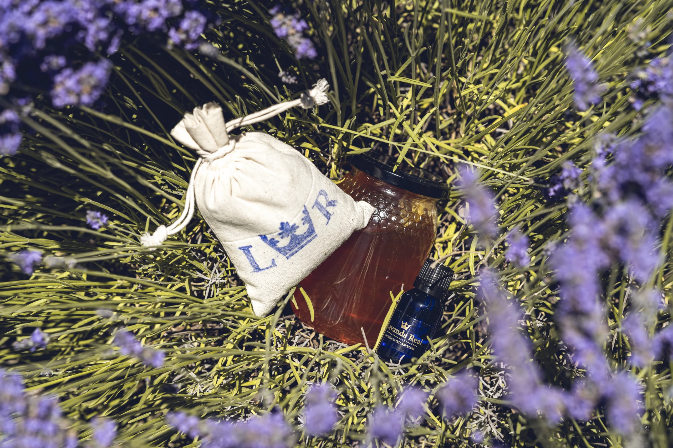 lavanda natural de La Moraña en Ávila