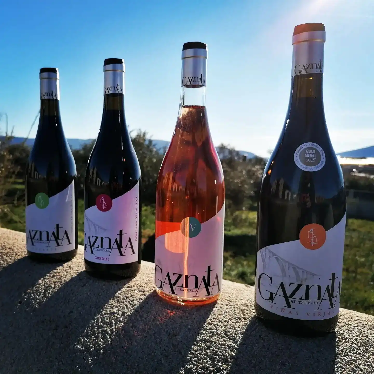 Bodega Don Juan del Aguila:DOP Cebreros 2