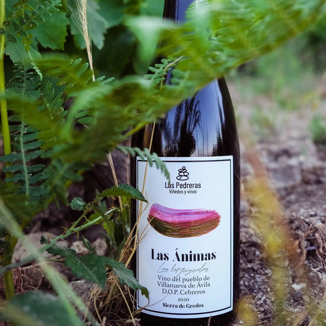 Las Ánimas pertenece al paraje de Las Herguijuelas, en Villanueva de Ávila. La orientación noreste, una altitud por encima de los 1000m