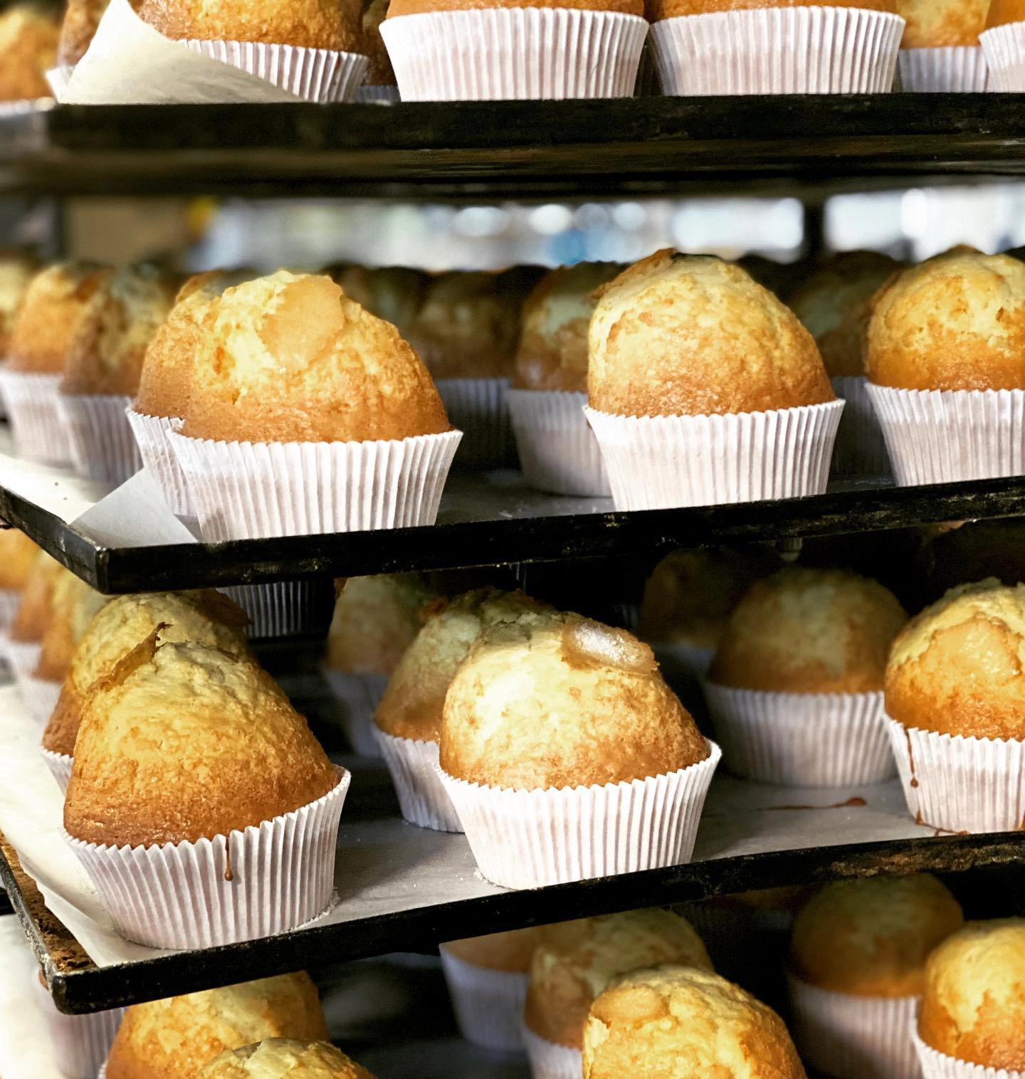 Magdalenas de la Abuela #tahonasotillo #sotillodelaadrada #avila #madrid #sanmartindevaldeiglesias #magdalenas