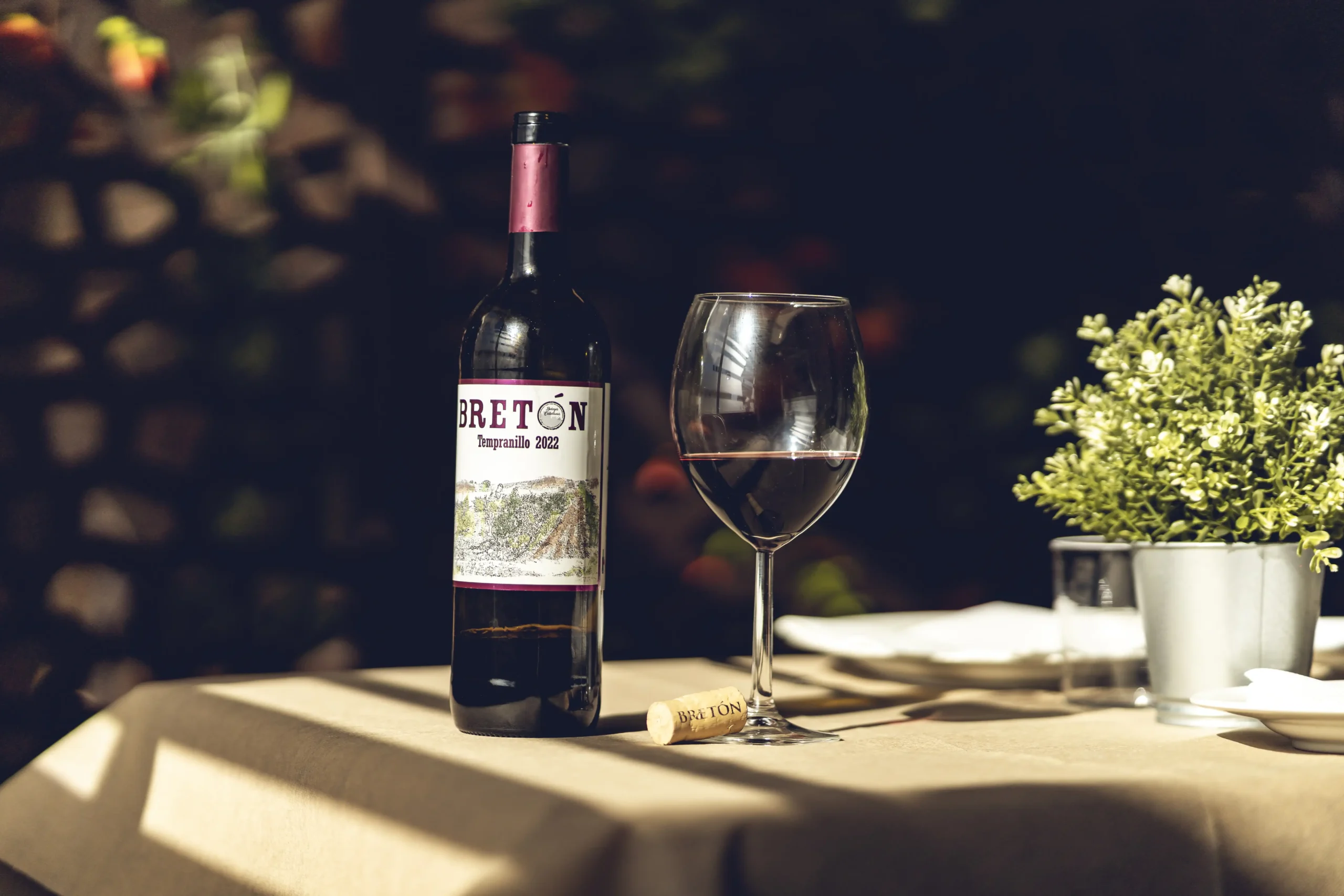 vino tempranillo Breton 2022