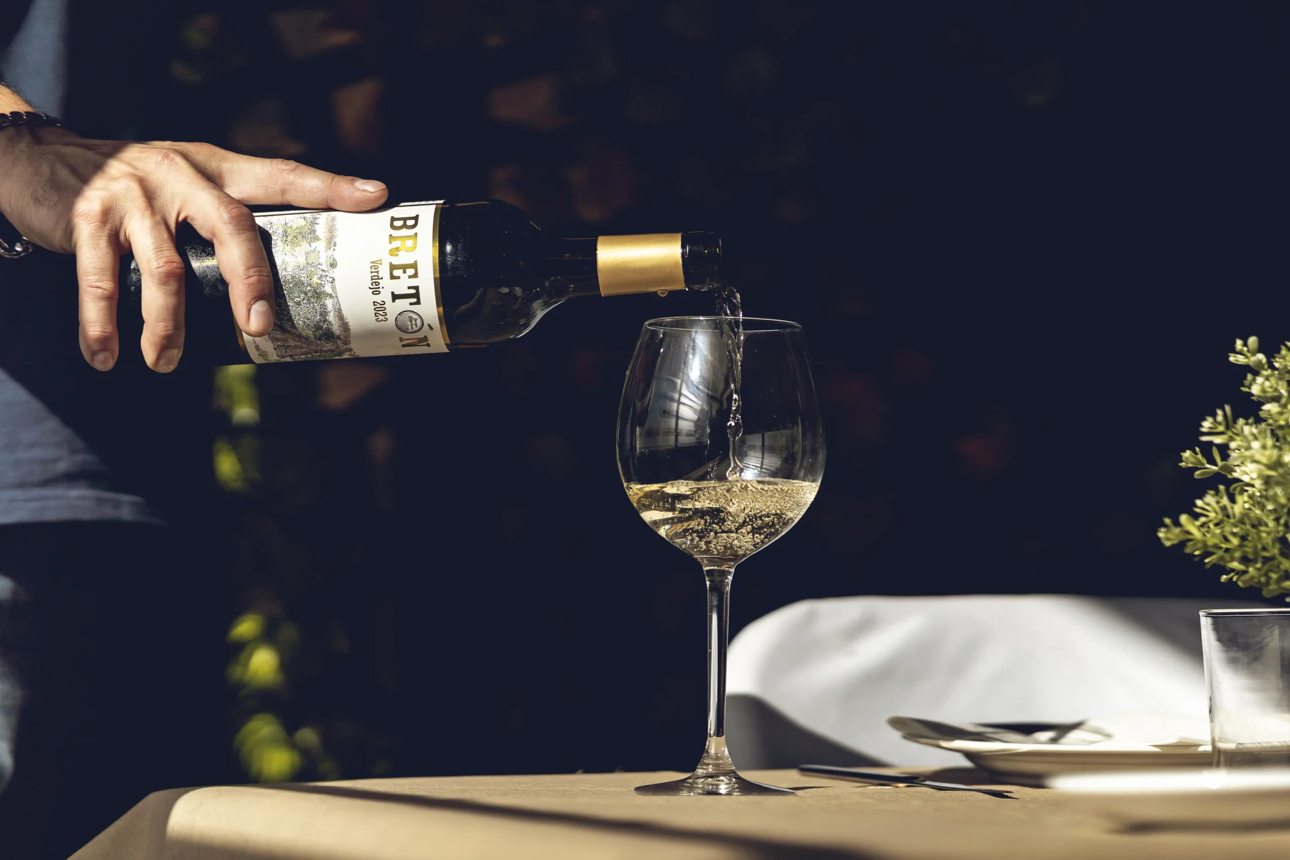 Breton Verdejo 2023 de Bodegas Castellanas