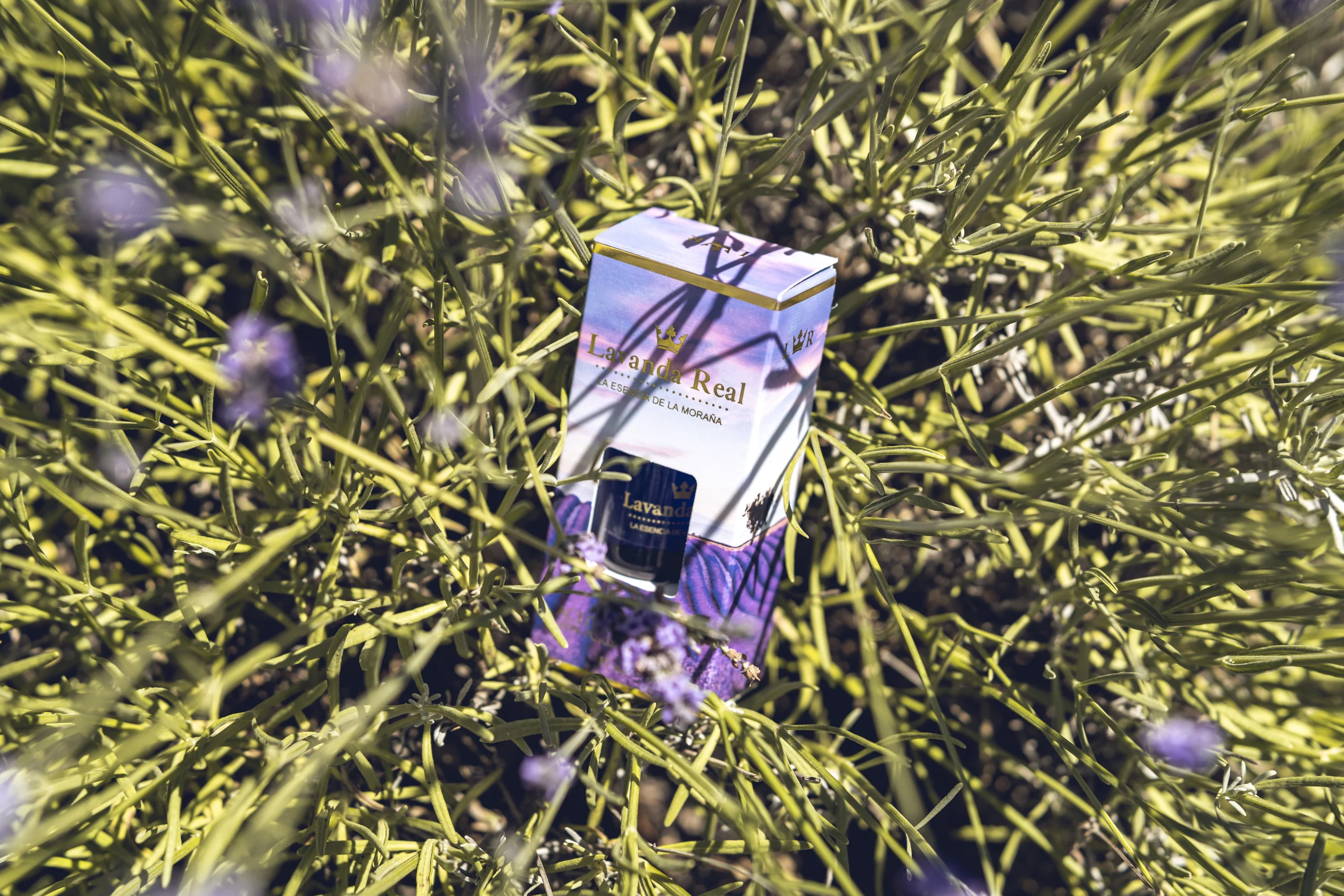 Lavanda real ambientadores naturales