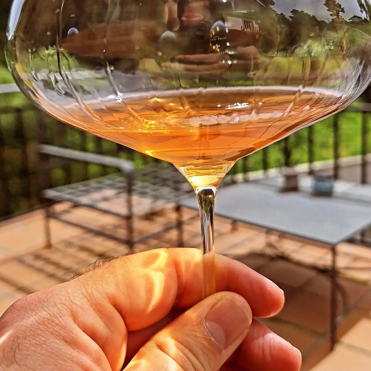 vino-bodegas-chato-gañan