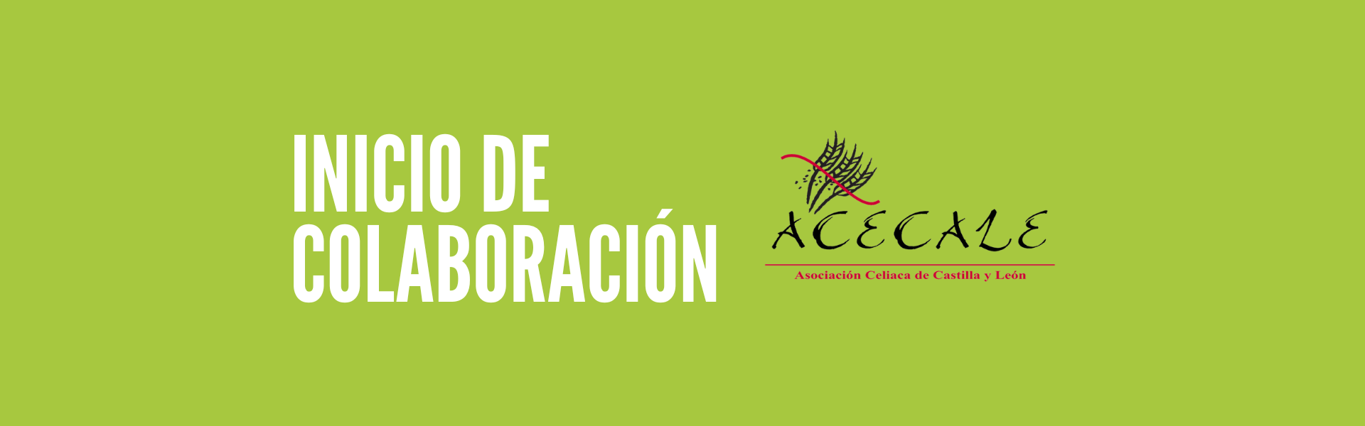 colaboracion Acecale y Avila Autentica