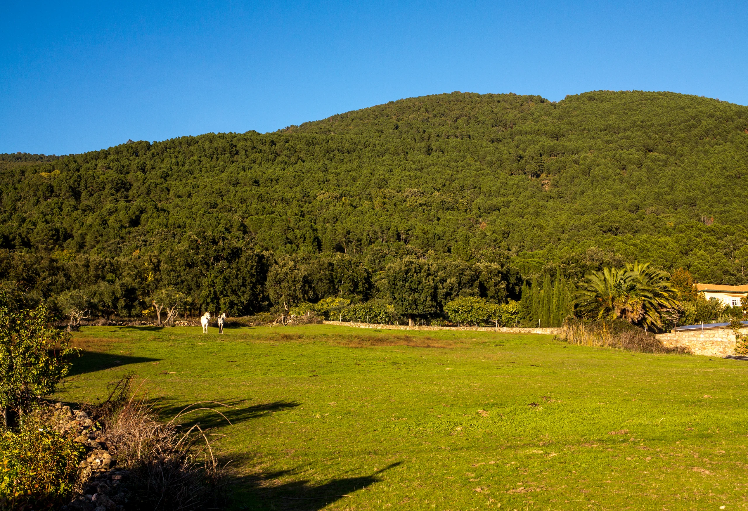 rutas de senderismo en el valle del tietar