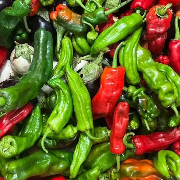 Pimientos de Catorcectáreas, producto ecológico, Avila
